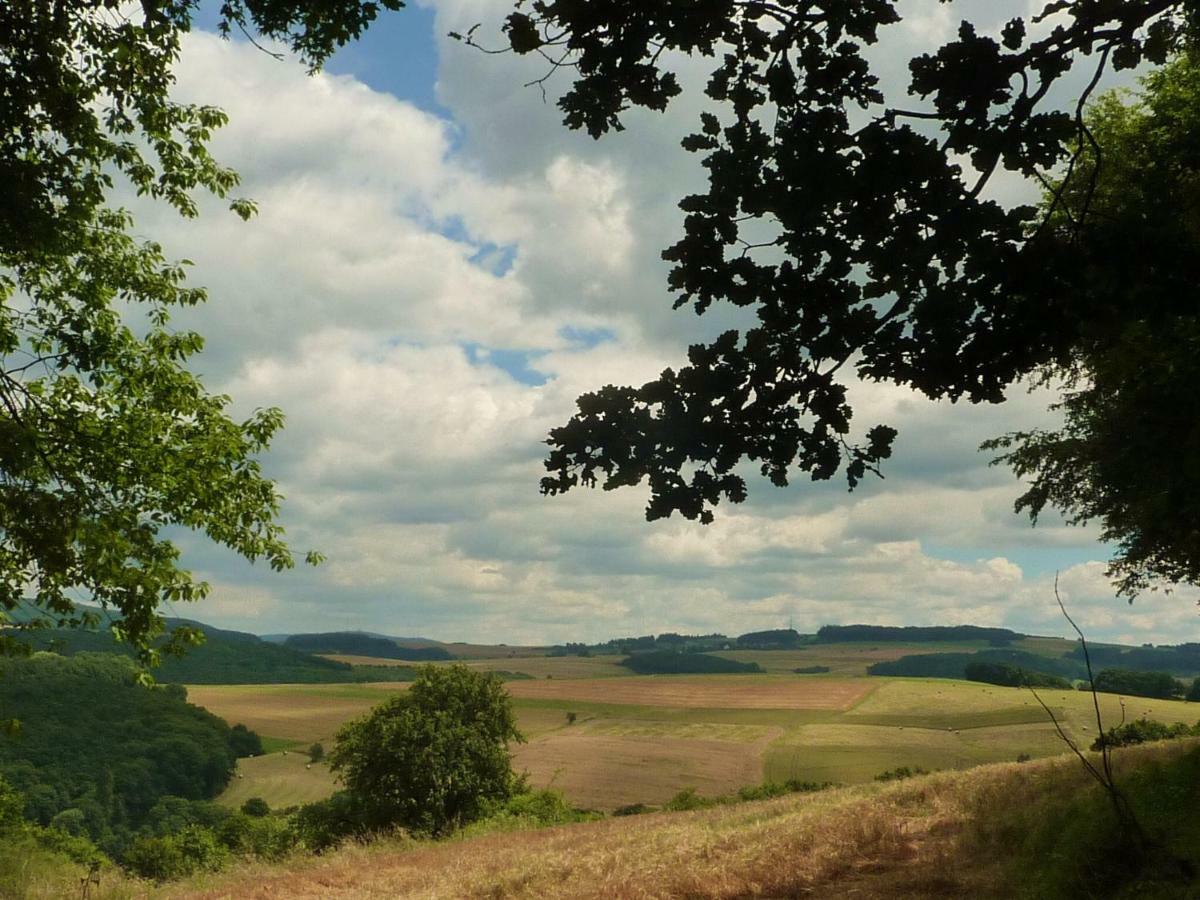 Ferienhaus Moscheltal Villa Waldgrehweiler Екстериор снимка