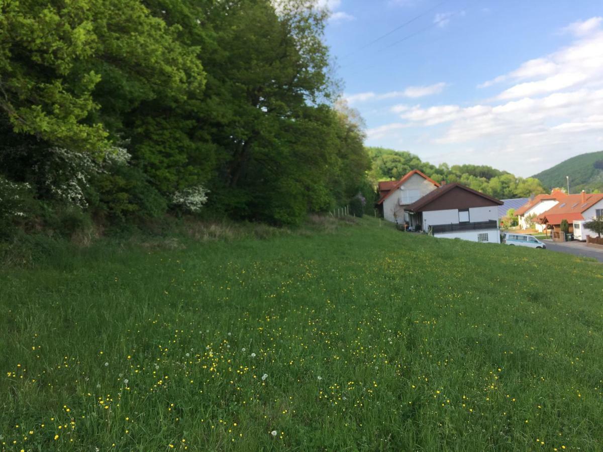 Ferienhaus Moscheltal Villa Waldgrehweiler Екстериор снимка